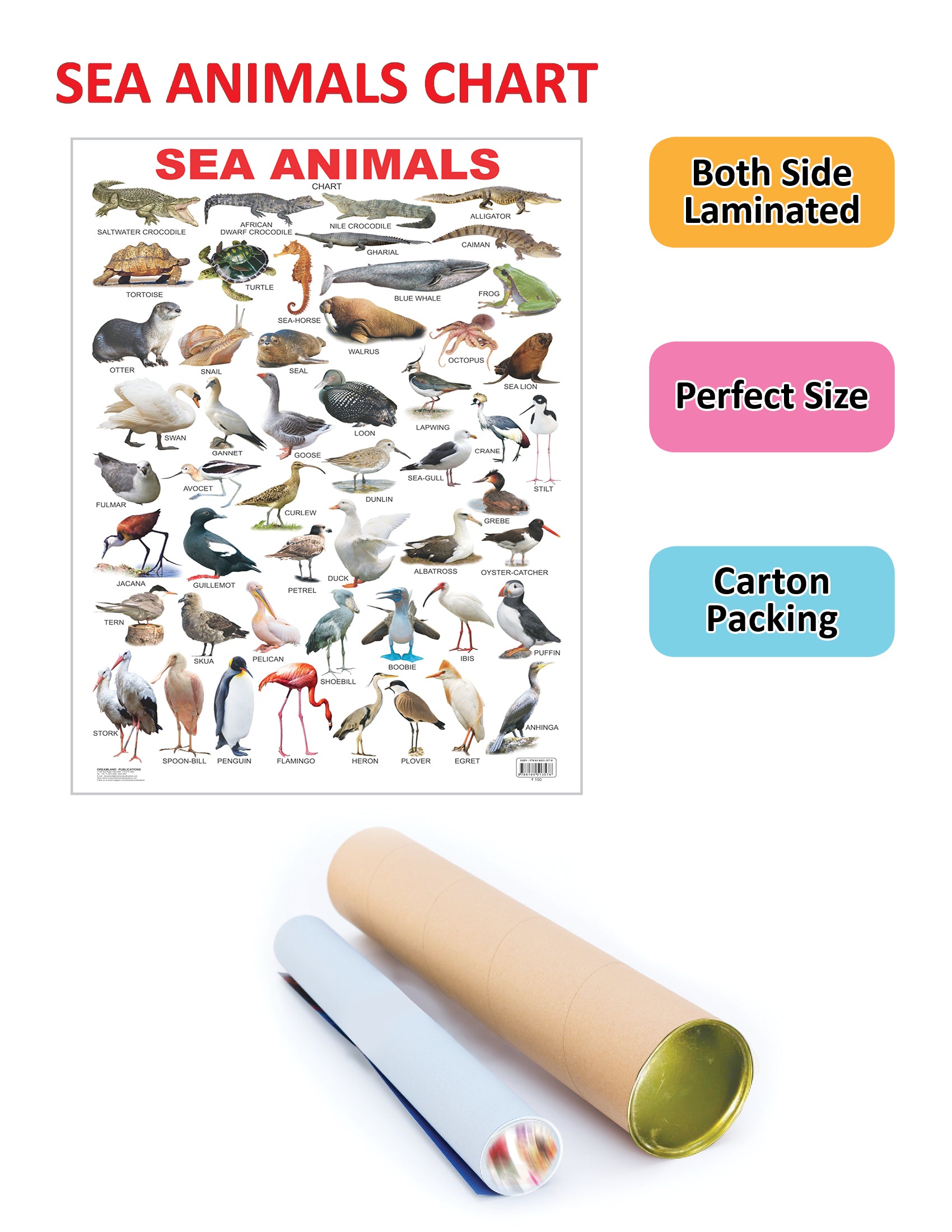 Dreamland Publications Educational Chart for Kids - Sea Animal - Distacart