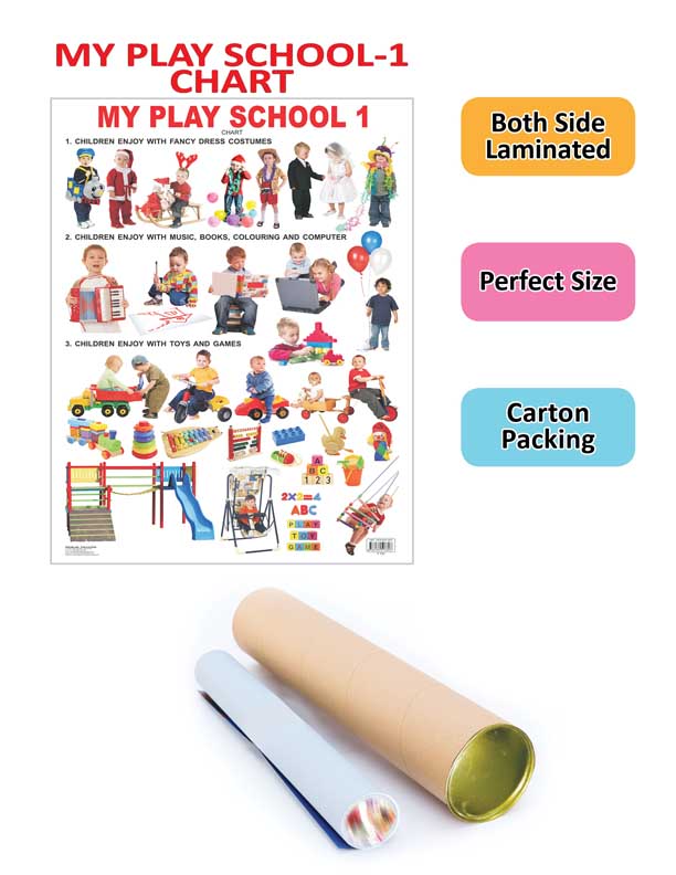 Dreamland Publications My Play School -1 : Children Early Learning Educational Laminated Chart - Distacart