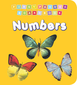 Dreamland First Padded Board Book - Numbers - Distacart