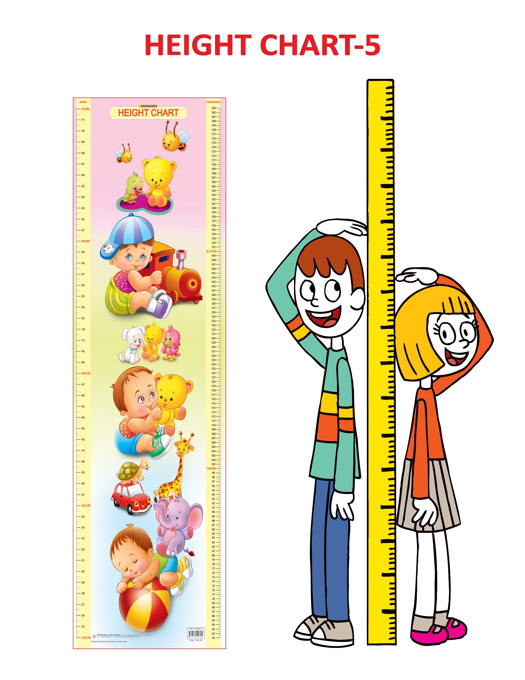 Dreamland Publications Educational Chart for Kids - Height Chart - 5 - Distacart