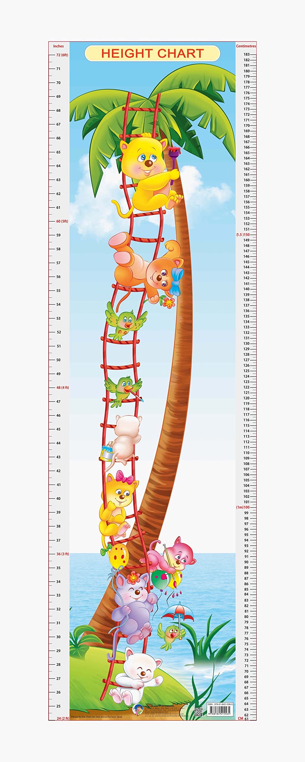 Dreamland Publications Educational Chart for Kids - Height Chart - 6 - Distacart