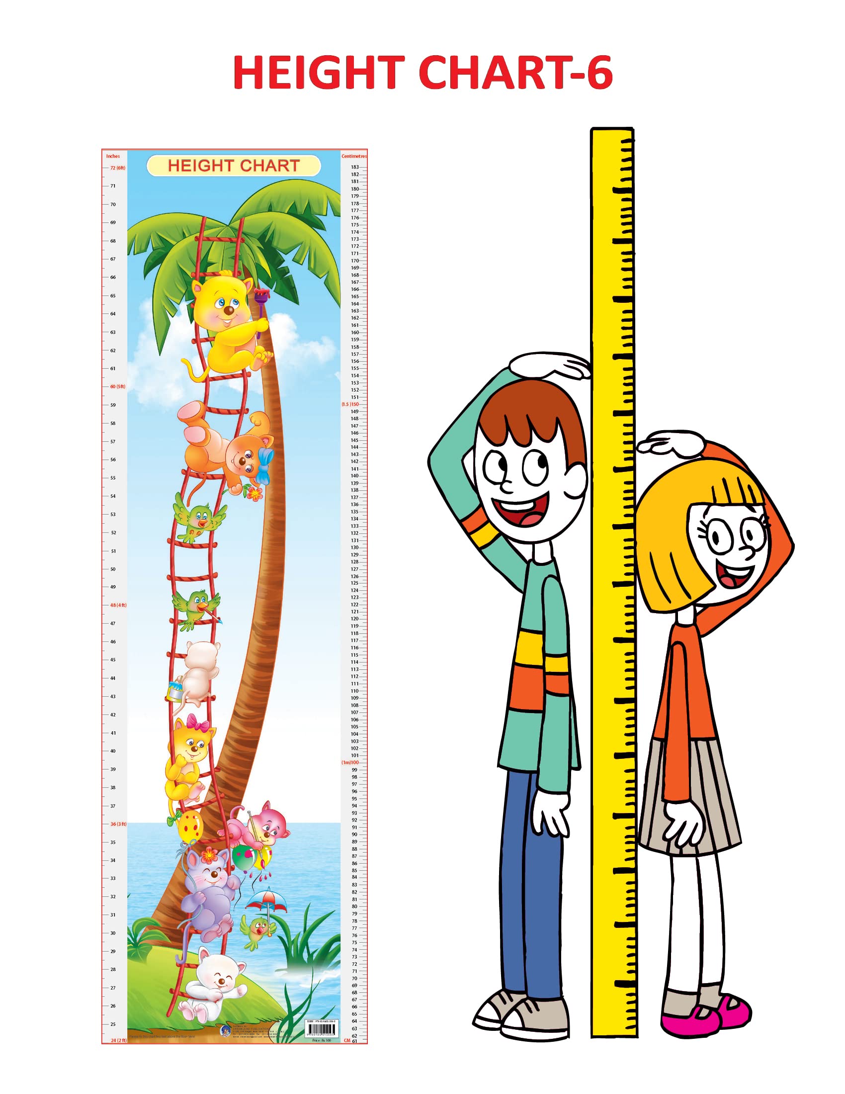 Dreamland Publications Educational Chart for Kids - Height Chart - 6 - Distacart