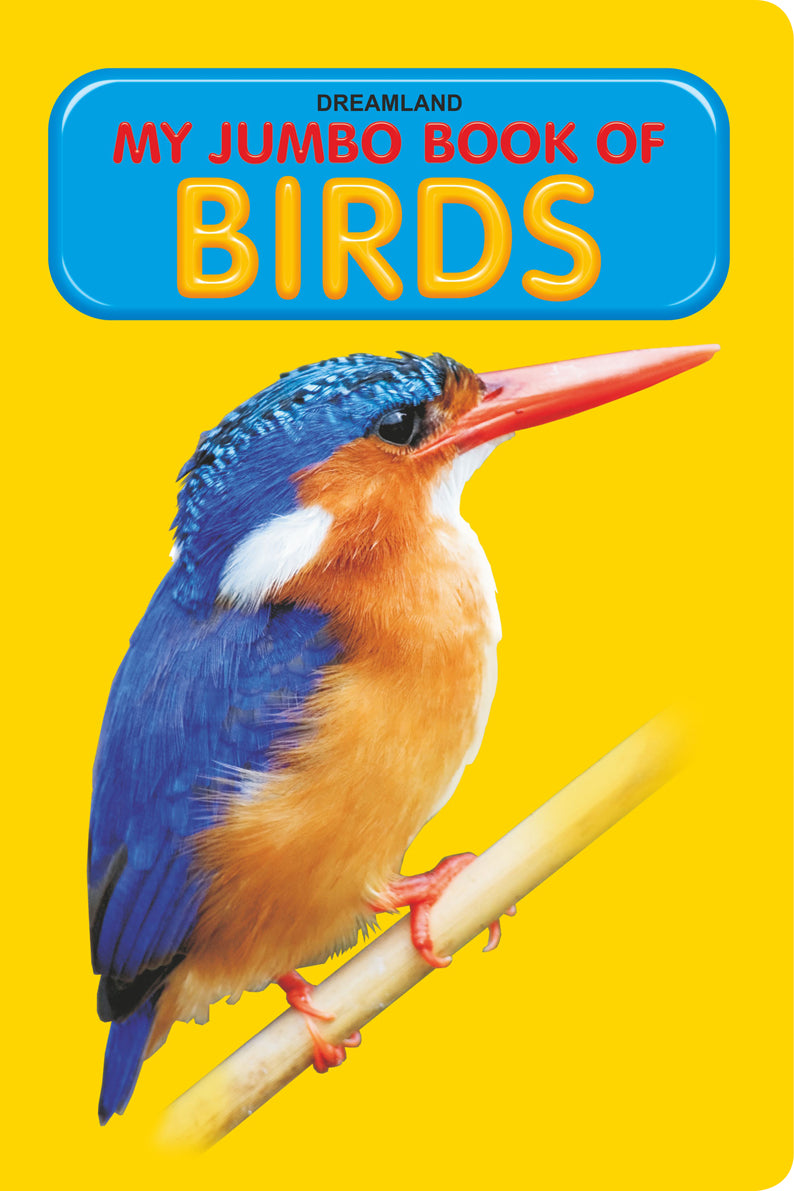 Dreamland My Jumbo Book - BIRDS - Distacart