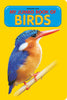 Dreamland My Jumbo Book - BIRDS - Distacart