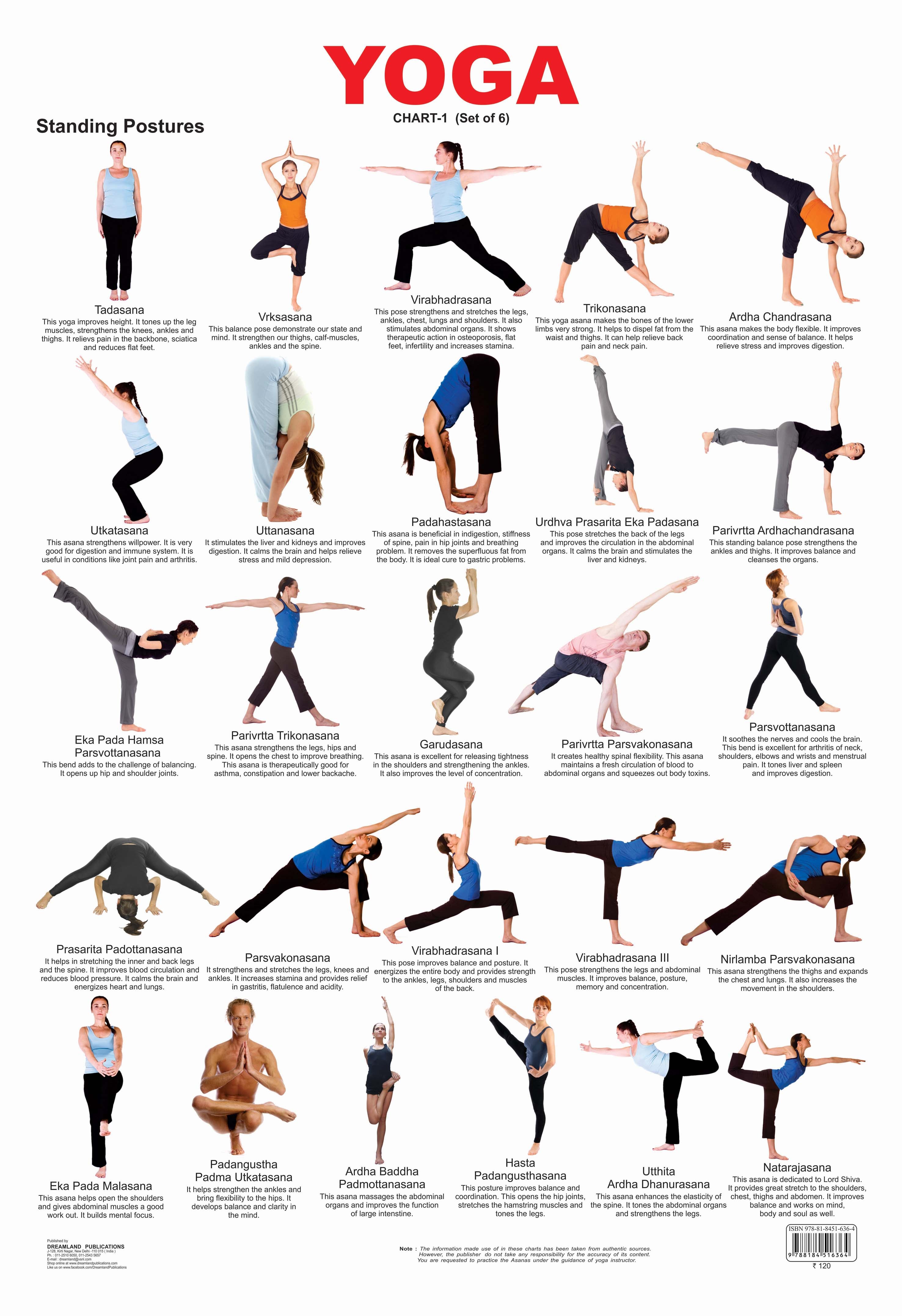 Dreamland Publications Educational Chart for Kids - Yoga Chart - 1 - Distacart