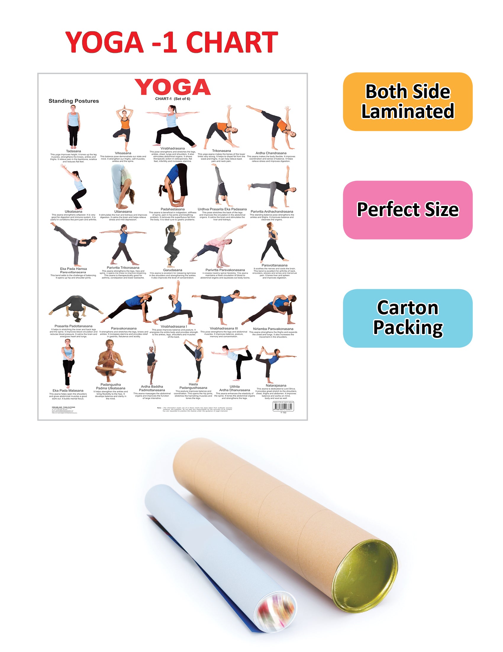 Dreamland Publications Educational Chart for Kids - Yoga Chart - 1 - Distacart