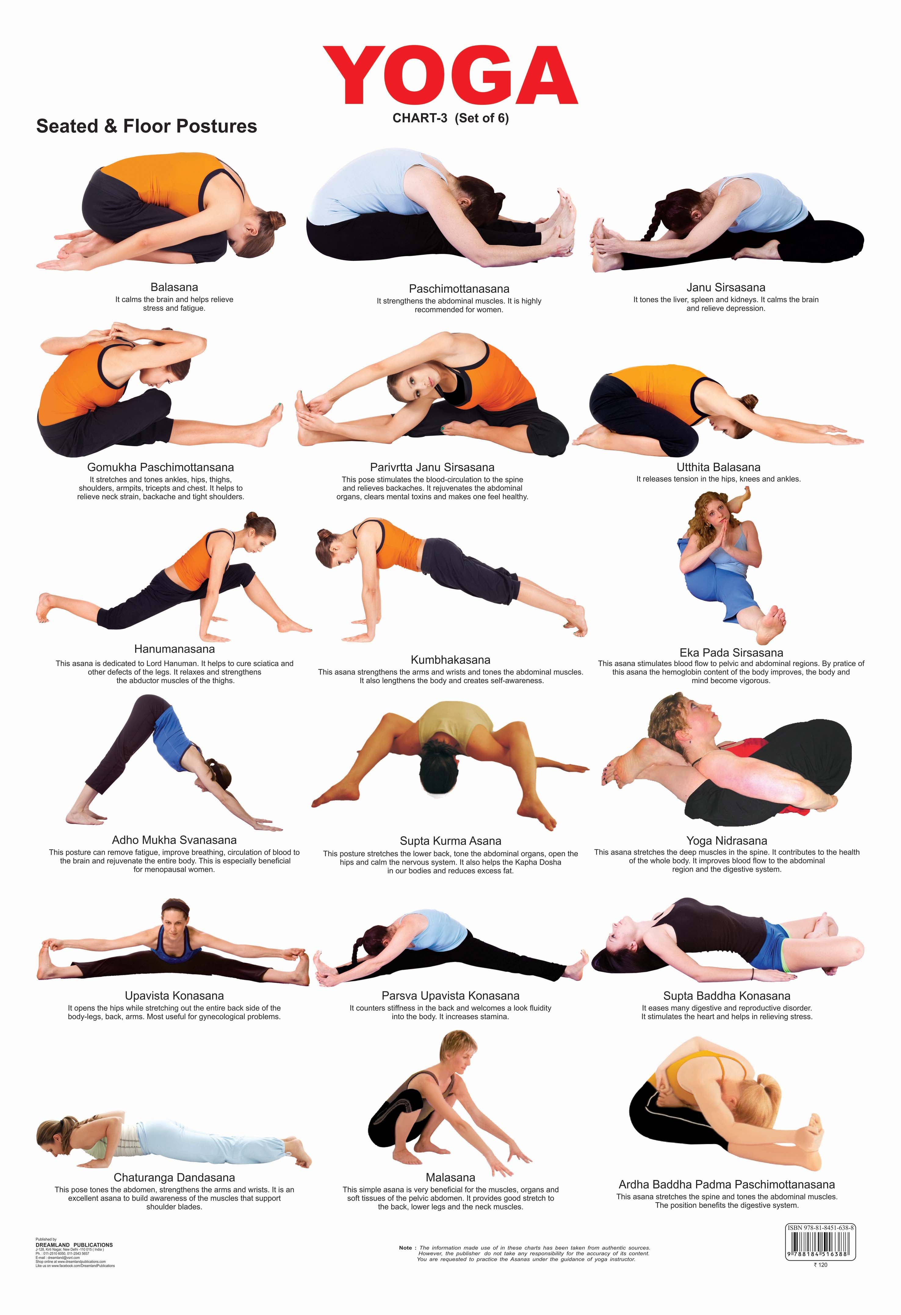 Dreamland Publications Educational Chart for Kids - Yoga Chart - 3 - Distacart