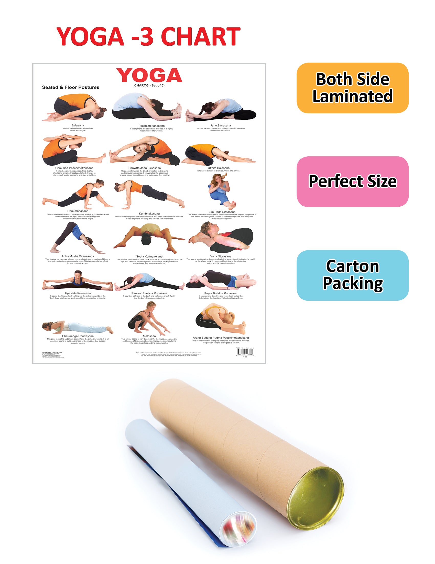 Dreamland Publications Educational Chart for Kids - Yoga Chart - 3 - Distacart