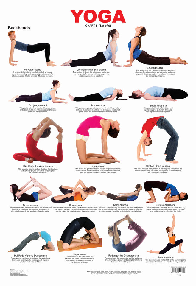 Dreamland Publications Educational Chart for Kids Yoga Chart