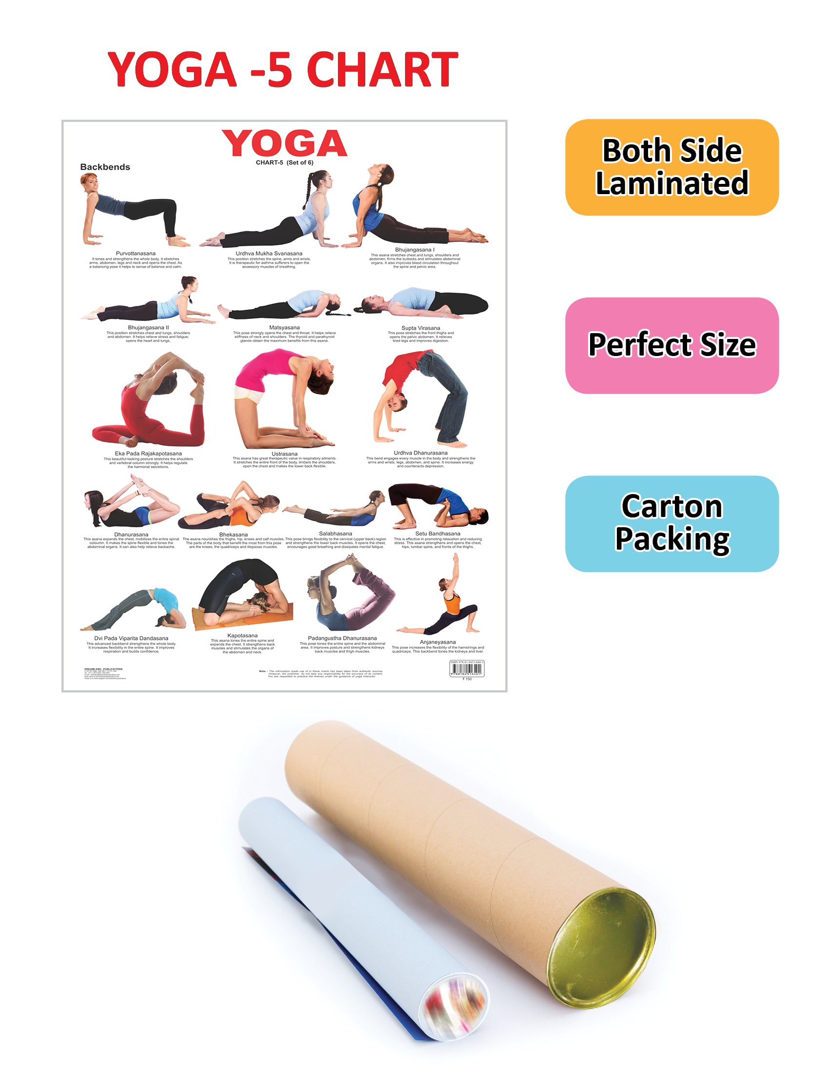 Dreamland Publications Educational Chart for Kids - Yoga Chart - 5 - Distacart