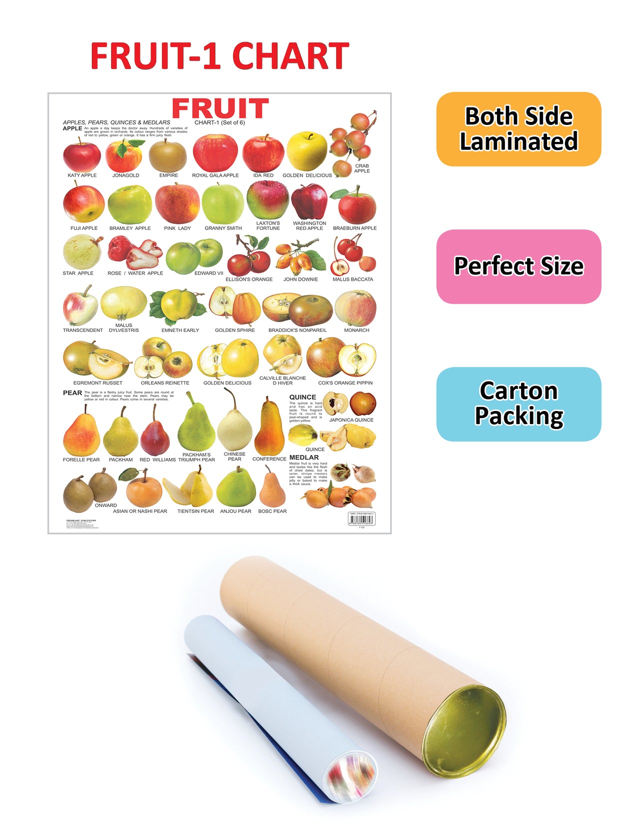 Dreamland Publications Educational Chart for Kids - Fruit Chart - 1 - Distacart