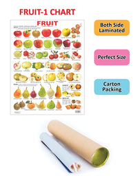 Thumbnail for Dreamland Publications Educational Chart for Kids - Fruit Chart - 1 - Distacart