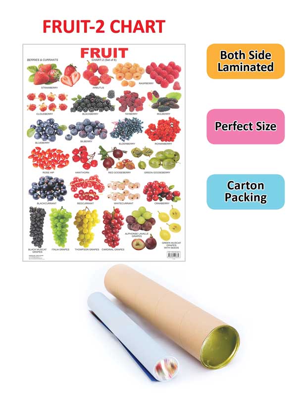 Dreamland Publications Educational Chart for Kids - Fruit Chart - 2 - Distacart