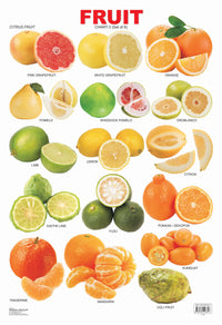 Thumbnail for Dreamland Publications Educational Chart for Kids - Fruit Chart - 3 - Distacart