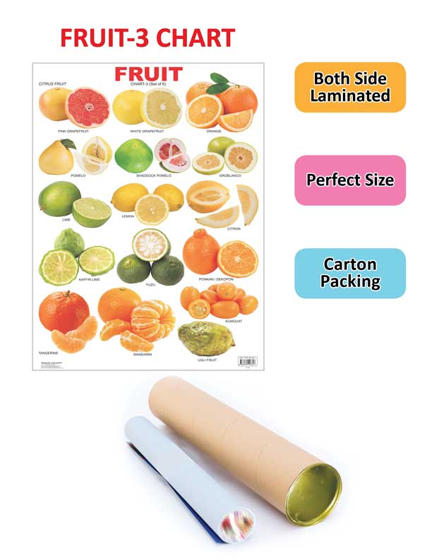 Dreamland Publications Educational Chart for Kids - Fruit Chart - 3 - Distacart