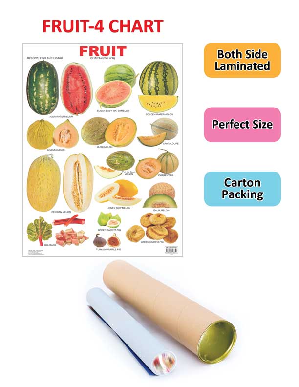 Dreamland Publications Educational Chart for Kids - Fruit Chart - 4 - Distacart