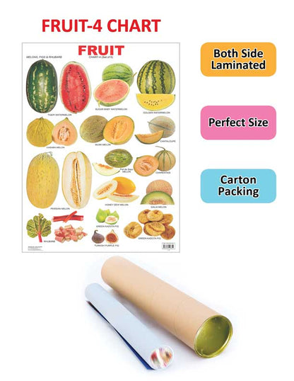 Dreamland Publications Educational Chart for Kids - Fruit Chart - 4 - Distacart
