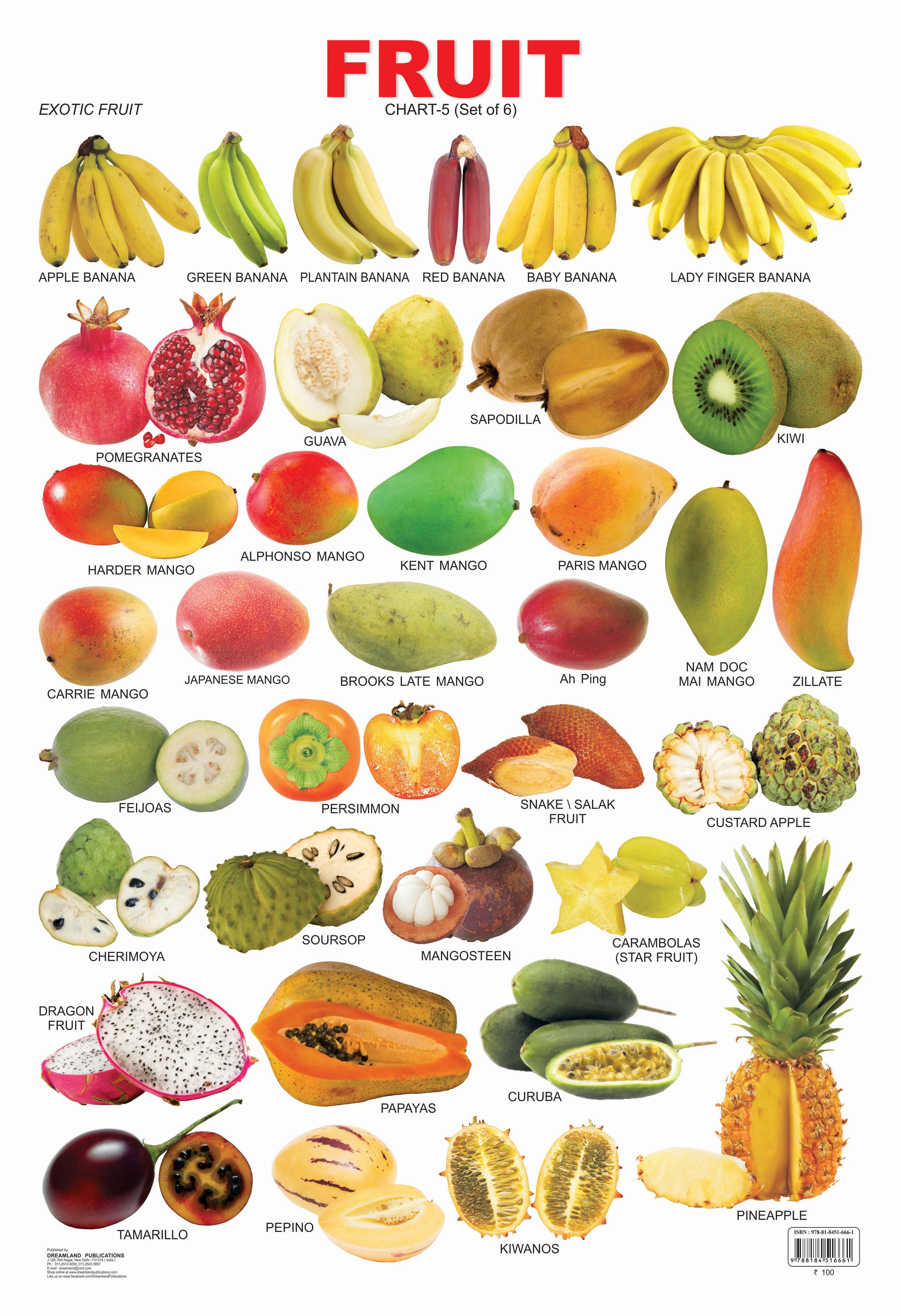 Dreamland Publications Educational Chart for Kids - Fruit Chart - 5 - Distacart