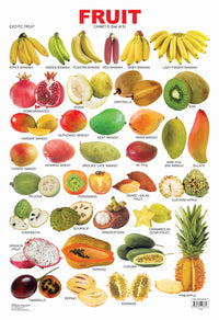 Thumbnail for Dreamland Publications Educational Chart for Kids - Fruit Chart - 5 - Distacart