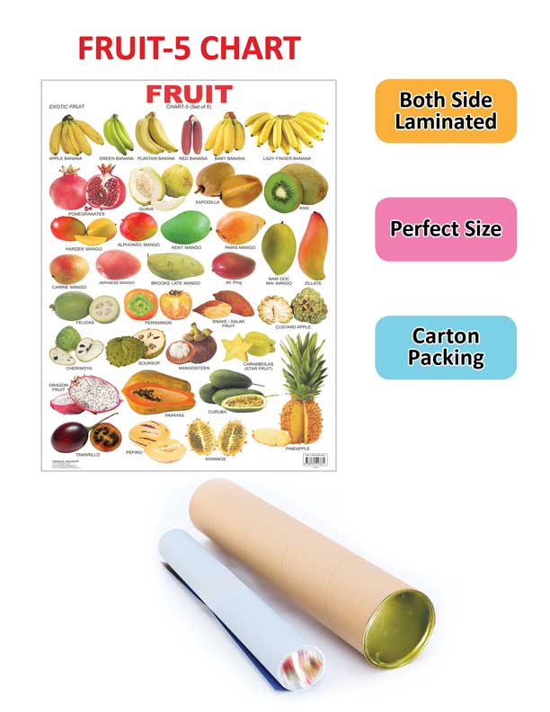 Dreamland Publications Educational Chart for Kids - Fruit Chart - 5