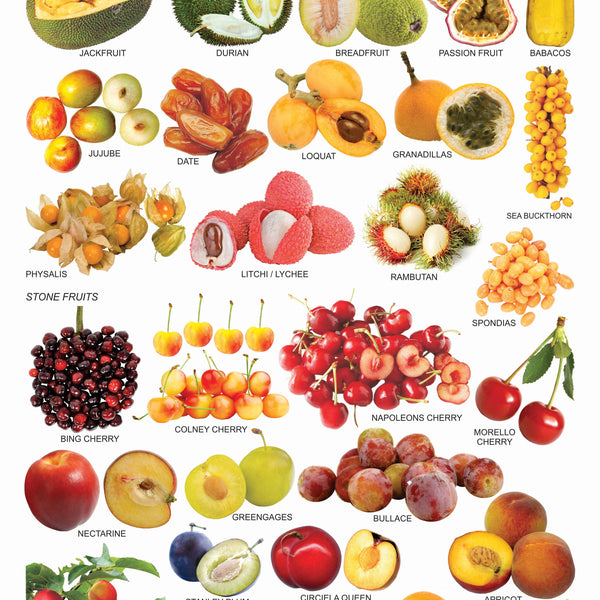 Dreamland Publications Educational Chart for Kids - Fruit Chart - 6 - Distacart