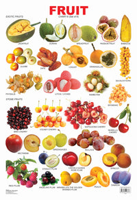 Thumbnail for Dreamland Publications Educational Chart for Kids - Fruit Chart - 6 - Distacart