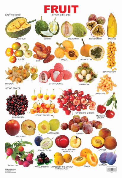 Dreamland Publications Educational Chart for Kids - Fruit Chart - 6 - Distacart