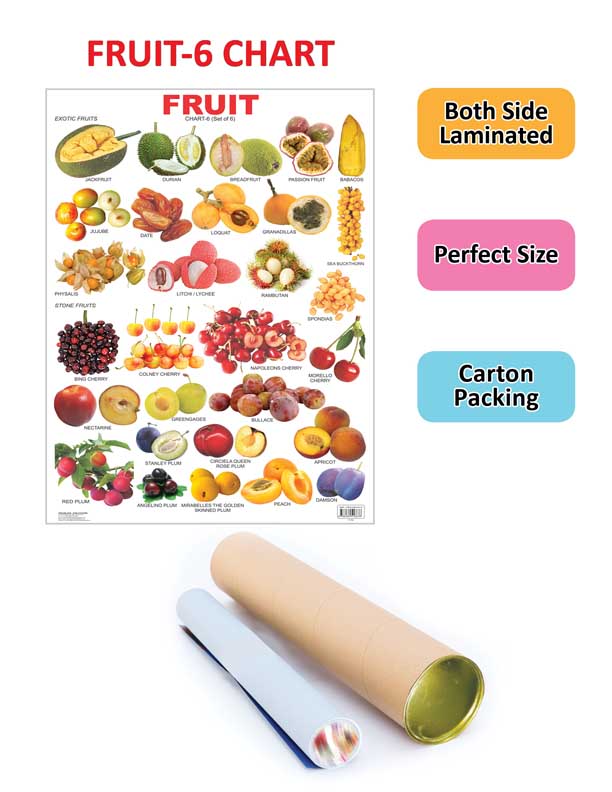 Dreamland Publications Educational Chart for Kids - Fruit Chart - 6 - Distacart