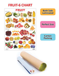 Thumbnail for Dreamland Publications Educational Chart for Kids - Fruit Chart - 6 - Distacart