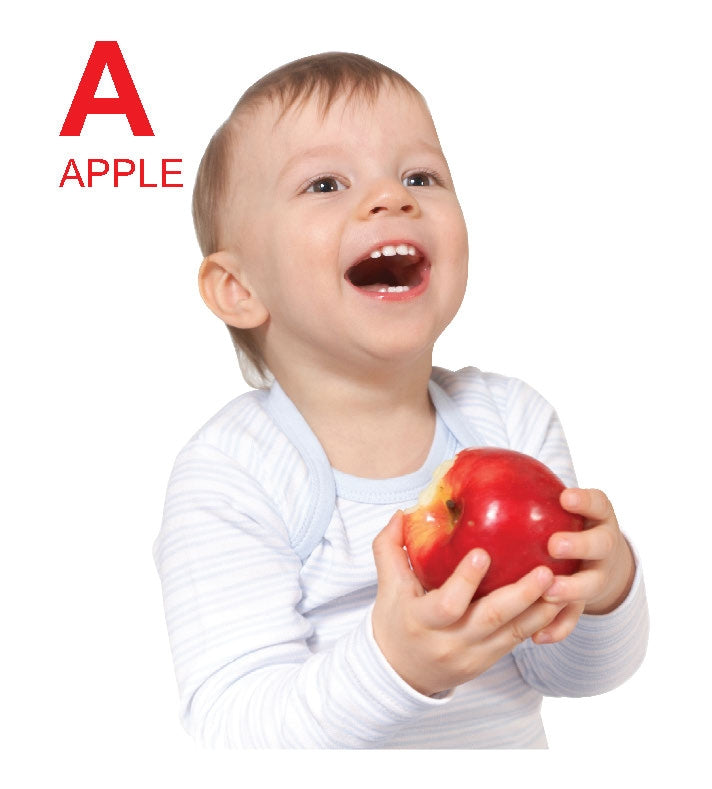 Dreamland Publications Kiddy Board Book - (10 Titels) Pack - Distacart