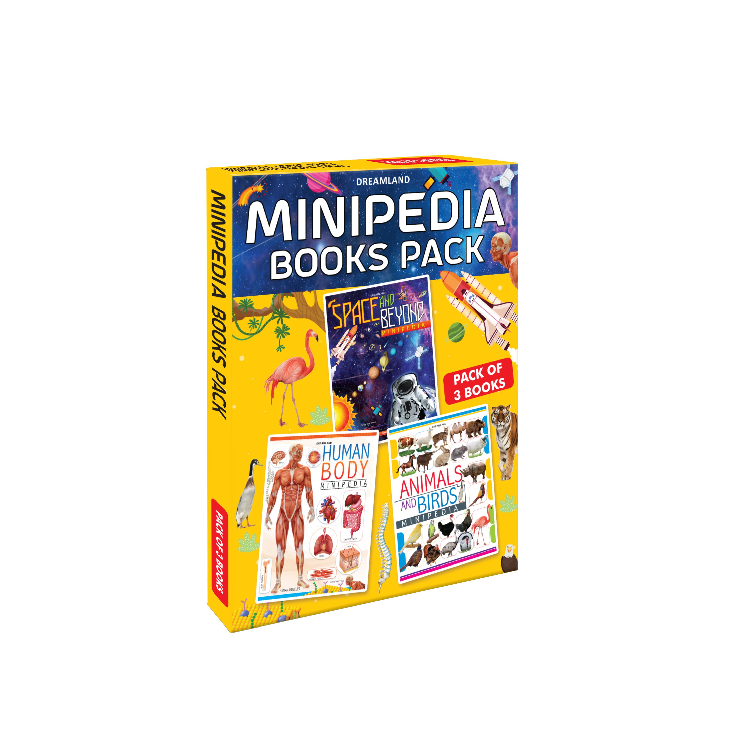 Dreamland Minipedia Series (A set of 3 Books) - Distacart