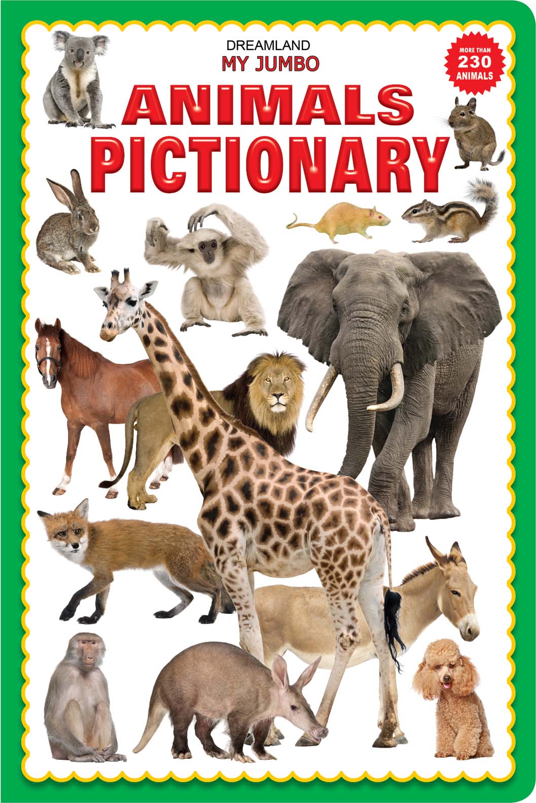 Dreamland My Jumbo Animal Pictionary - Distacart