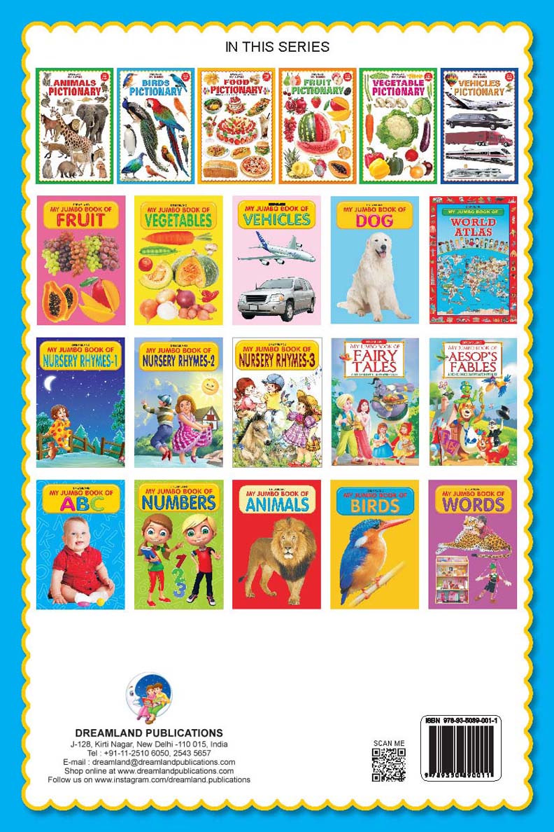 Dreamland My Jumbo Birds Pictionary - Distacart