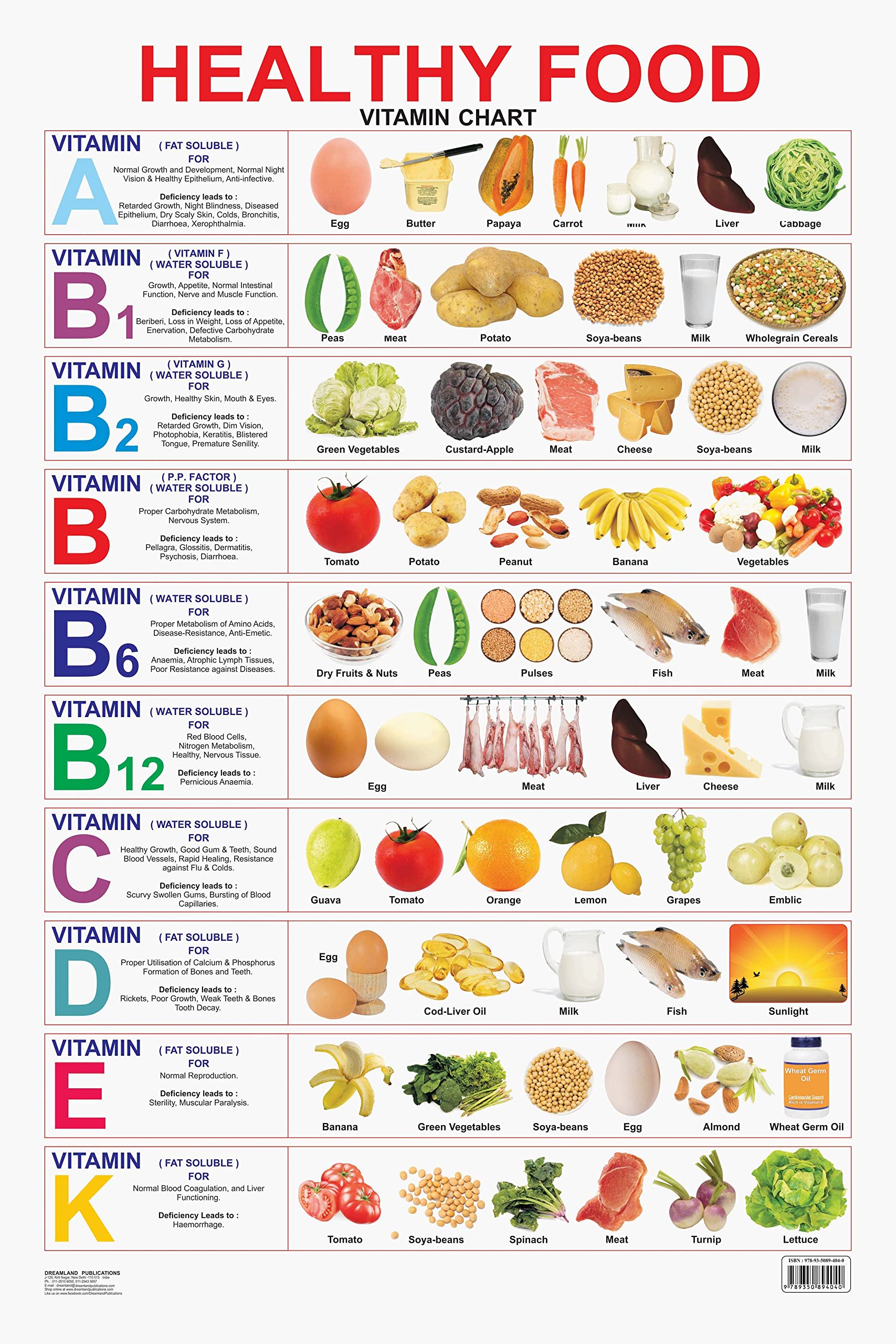 Dreamland Publications Educational Chart for Kids - Healthy Food (Vitamin Chart) - Distacart