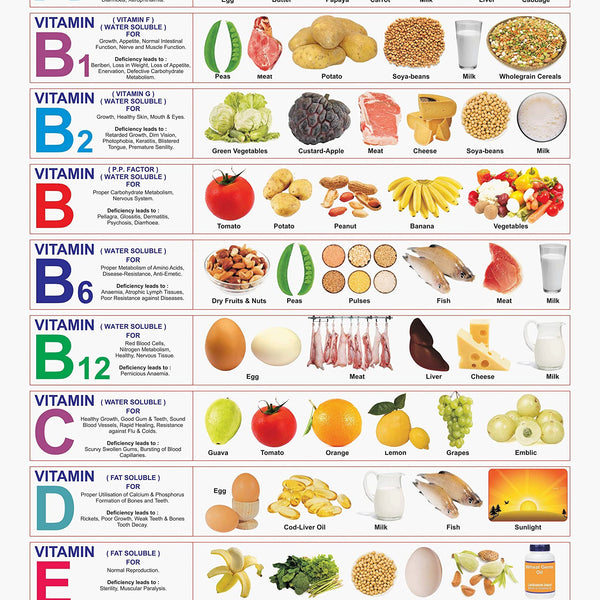 Dreamland Publications Educational Chart for Kids - Healthy Food (Vitamin Chart) - Distacart