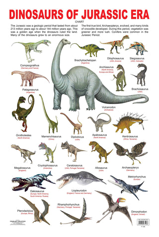 Dreamland Publications Educational Chart for Kids - Dinosaurs of Jurassic Era - Distacart