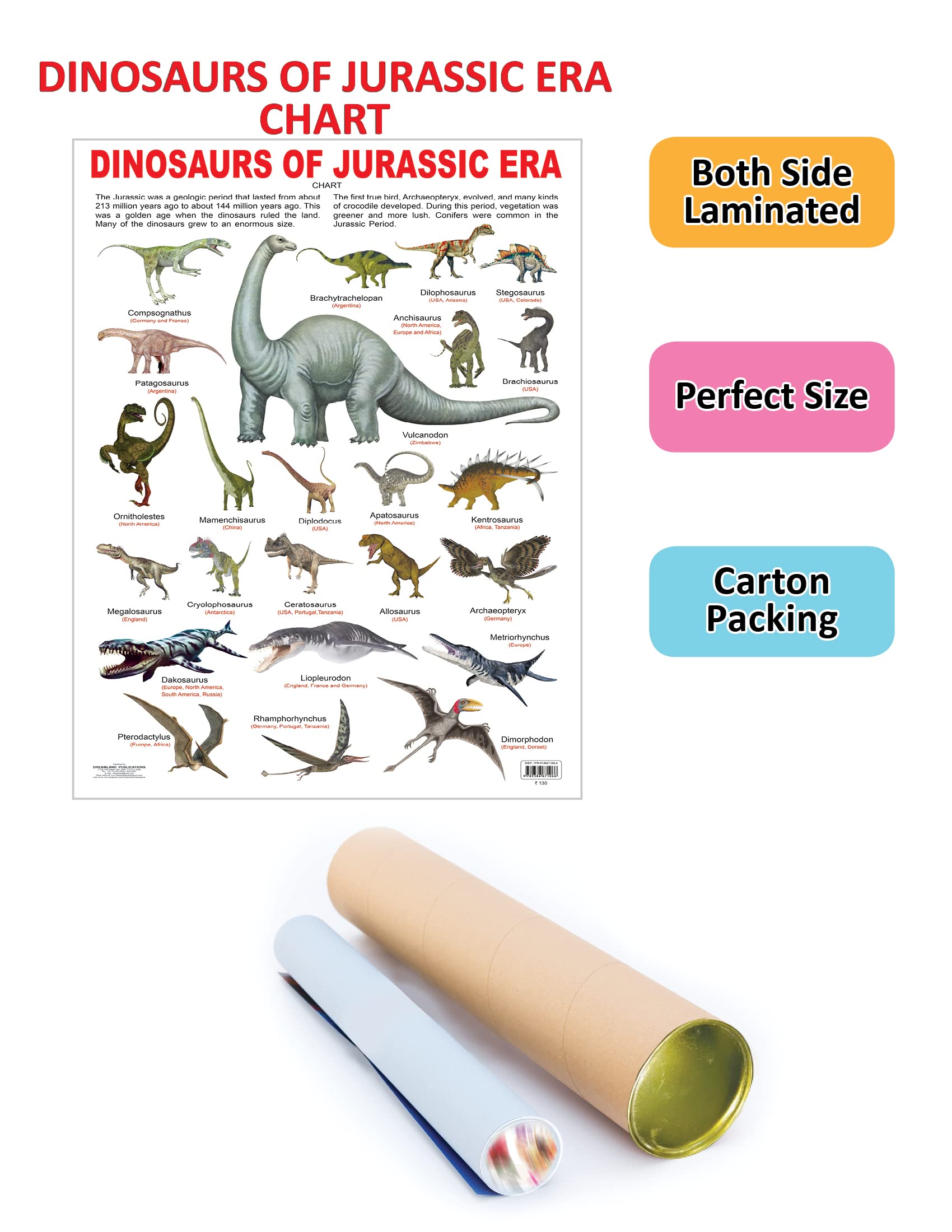 Dreamland Publications Educational Chart for Kids - Dinosaurs of Jurassic Era - Distacart
