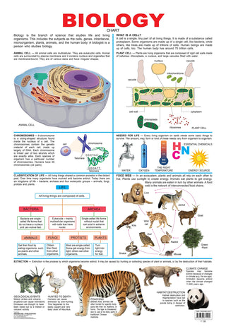 Dreamland Publications Biology : Children Reference Educational Laminated Chart - Distacart
