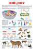 Dreamland Publications Biology : Children Reference Educational Laminated Chart - Distacart