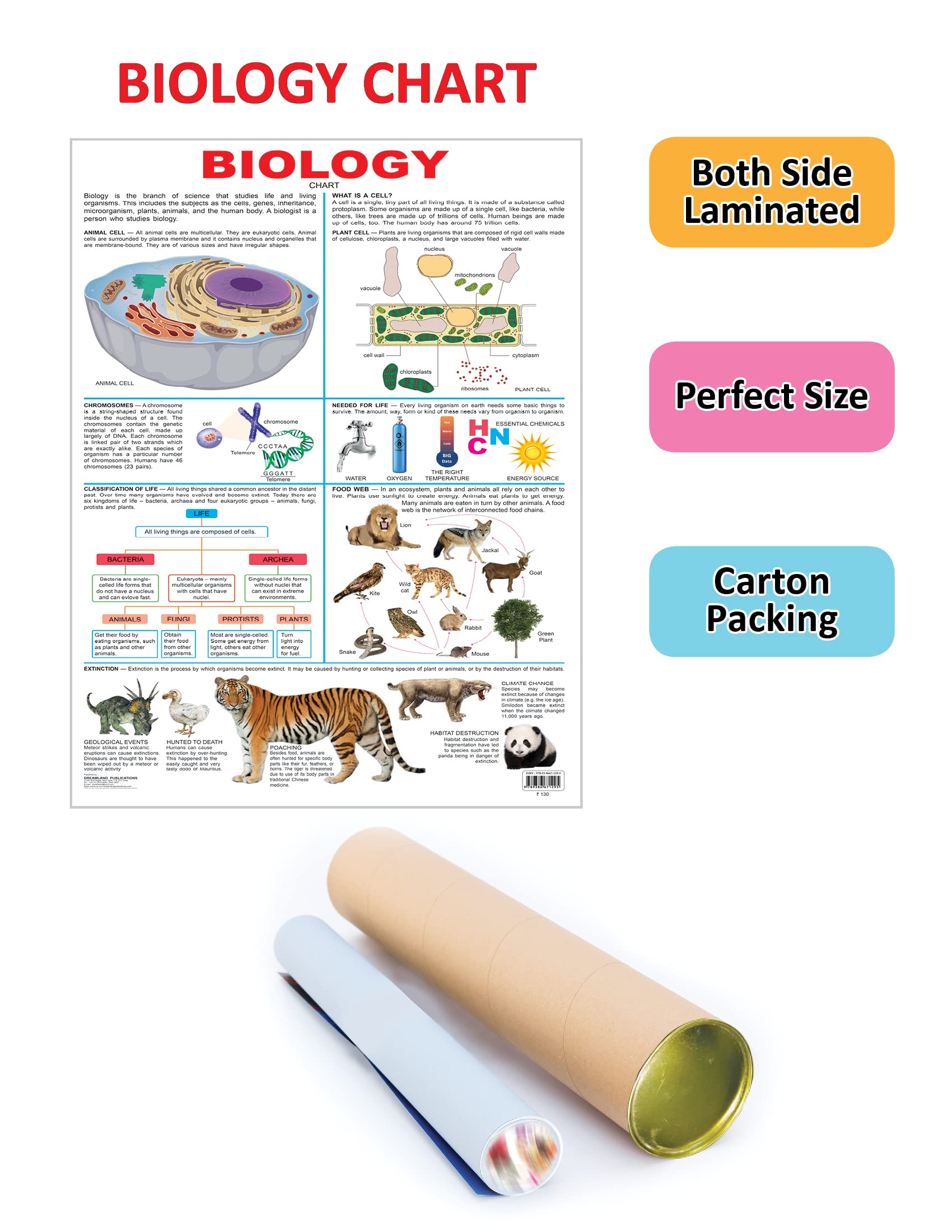 Dreamland Publications Biology : Children Reference Educational Laminated Chart - Distacart