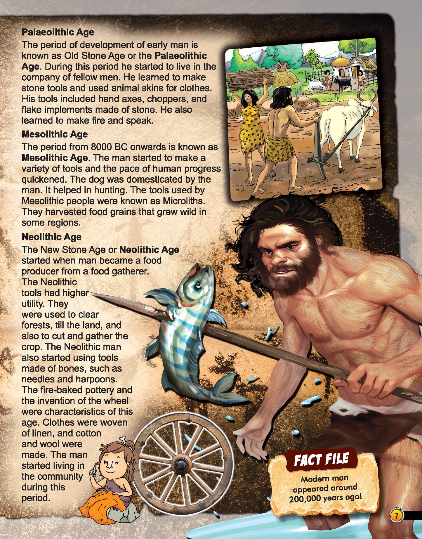 Dreamland Publications Explore World History Encyclopedia : Children's Reference Book - Distacart