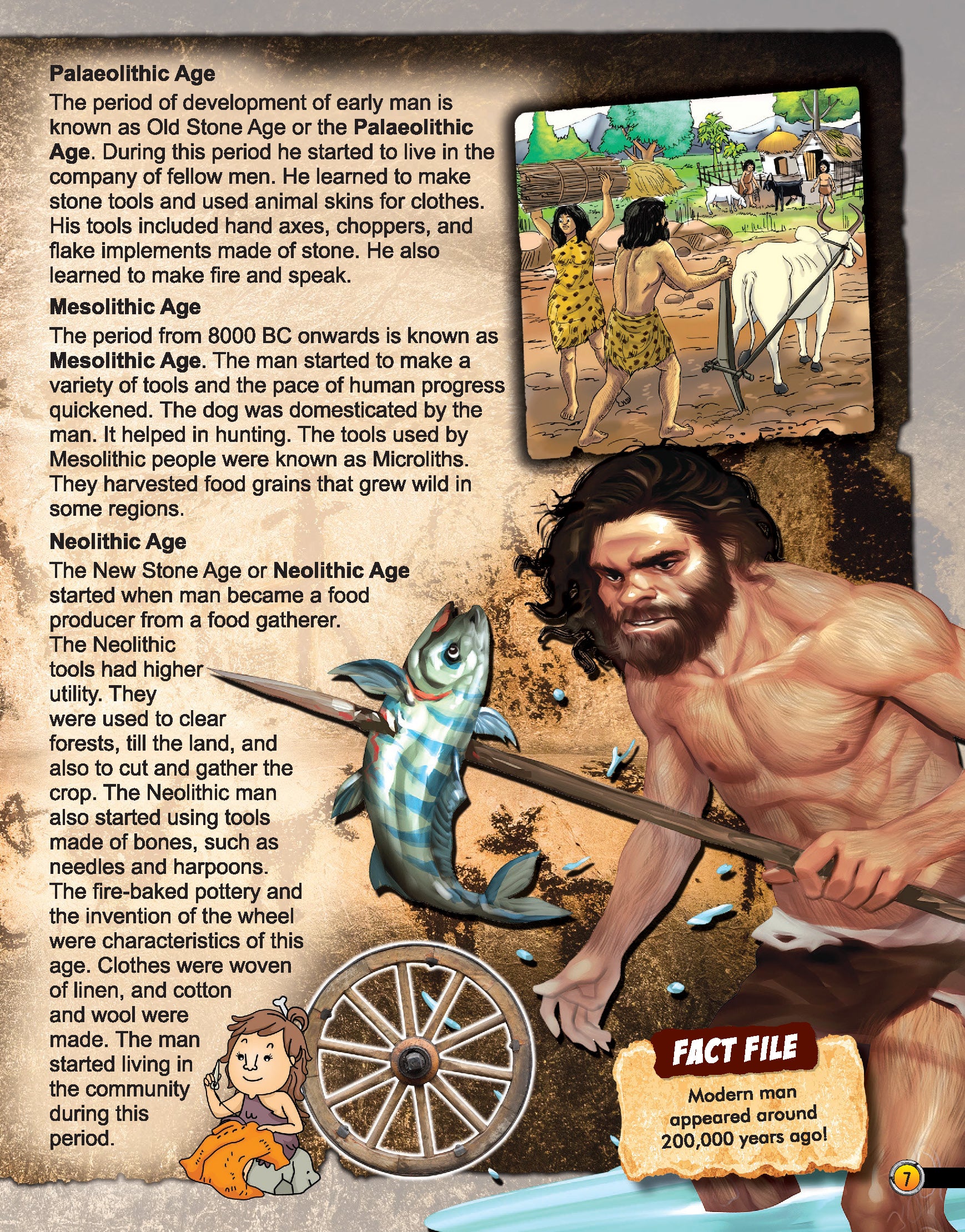 Dreamland Publications Explore World History Encyclopedia : Children's Reference Book - Distacart