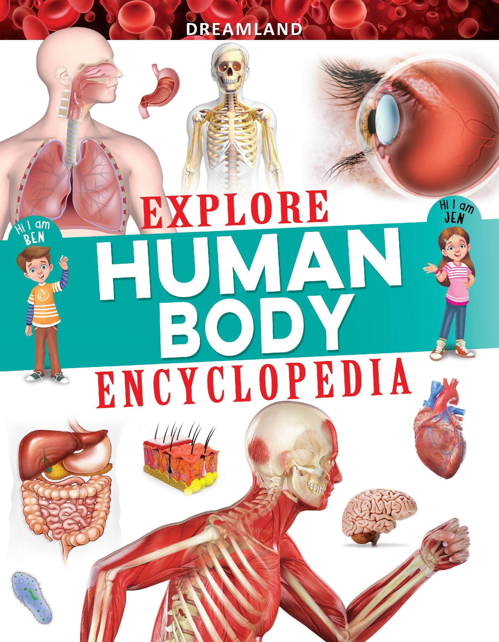 Dreamland Publications Explore Human Body Encyclopedia : Children's Reference Book - Distacart