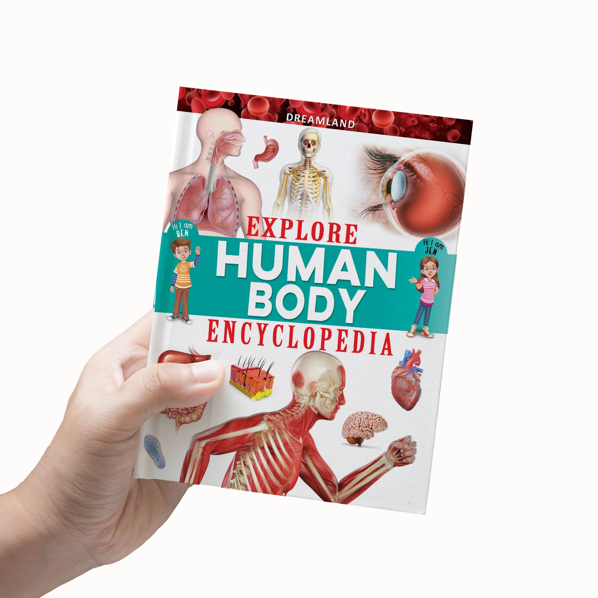 Dreamland Publications Explore Human Body Encyclopedia : Children's Reference Book - Distacart