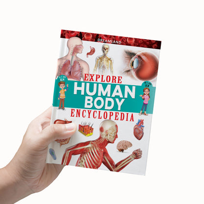 Dreamland Publications Explore Human Body Encyclopedia : Children's Reference Book - Distacart