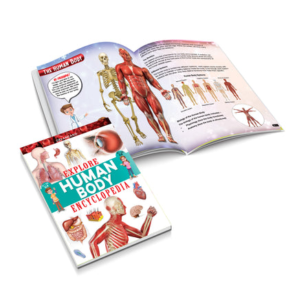 Dreamland Publications Explore Human Body Encyclopedia : Children's Reference Book - Distacart