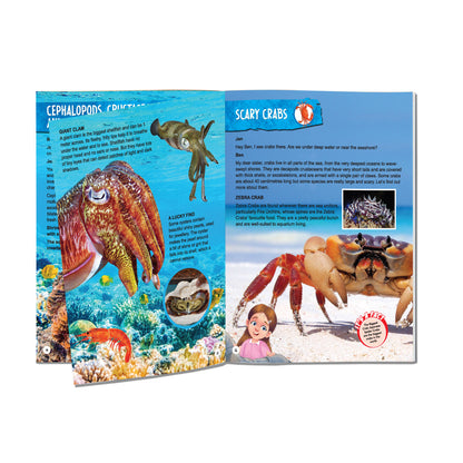 Dreamland Publications Explore Ocean World Encyclopedia : Children's Reference Book - Distacart