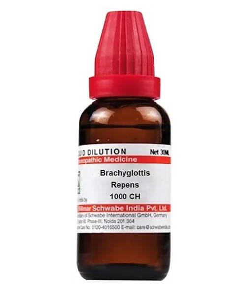 Dr. Willmar Schwabe India Brachyglottis Repens Dilution