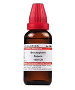 Thumbnail for Dr. Willmar Schwabe India Brachyglottis Repens Dilution