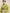 Saree Mall Saree Mall Elegant Green and Orange Linen Blend Saree - Distacart
